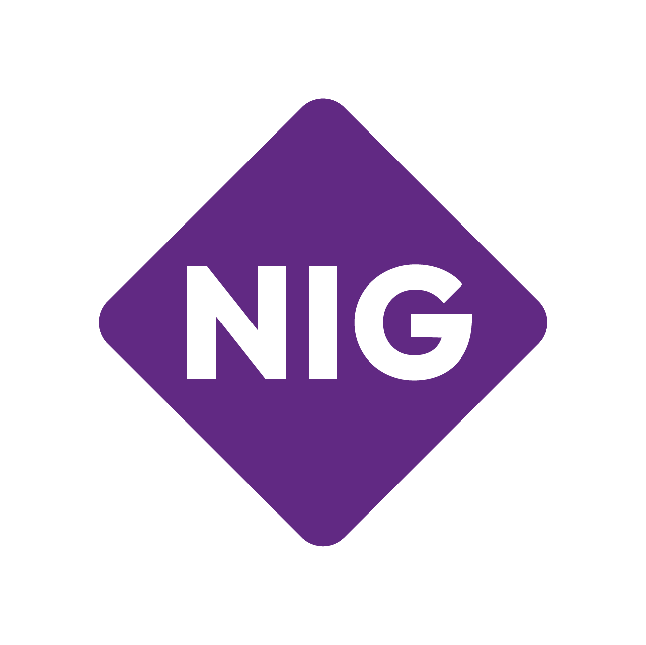 NIG logo RGB@2x no-background 1